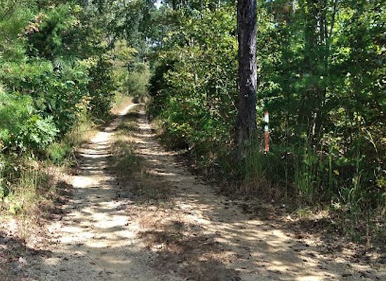 alabama/little-river-canyon-national-preserve/attraction/little-river-wildlife-preserve