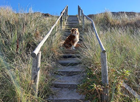 denmark/laso/attraction/nordmarken