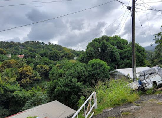 saint-lucia/marigot-bay/attraction/banane-sainte-lucie