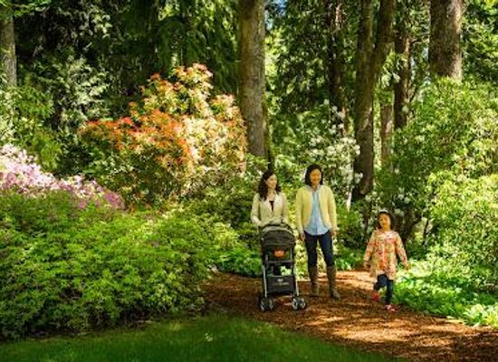 washington/everett/attraction/bloedel-reserve