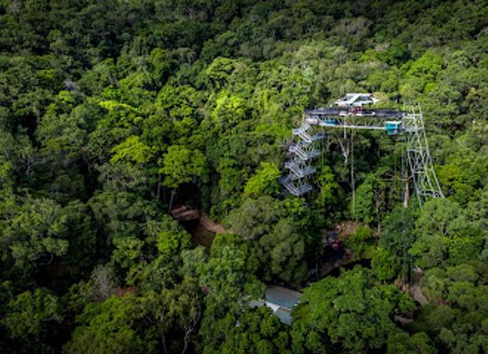 australia/cairns/palm-cove/attraction/skypark-cairns-by-aj-hackett