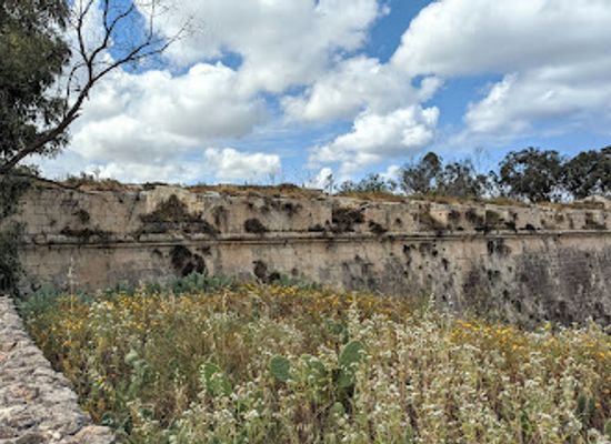 malta/southern-region/attraction/il-park-ta-san-klement
