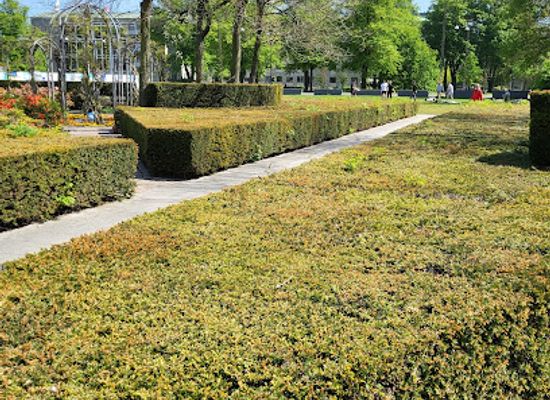 denmark/aarhus/attraction/walk-n-talk