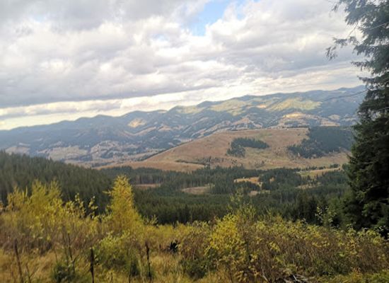 ukraine/chornohora-range/attraction/daraba-raftynh-na-cheremoshi