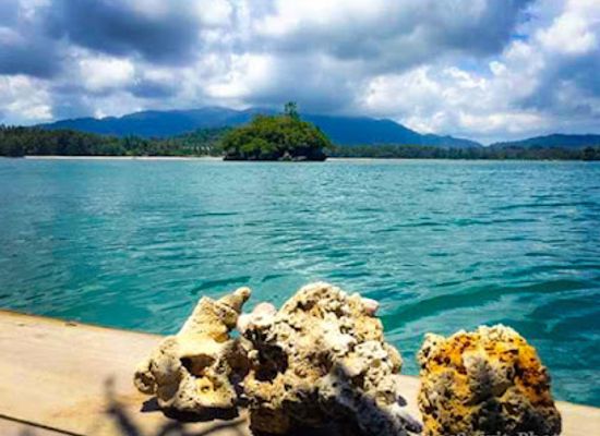 malaysia/langkawi-archipelago/attraction/langkawi-kayaking-adventure-kilim-geoforest-park