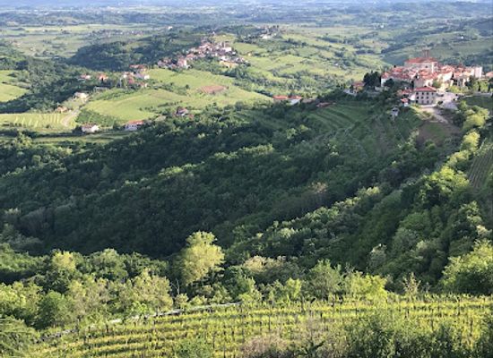 slovenia/gorizia/attraction/torre-panoramica-gonjace