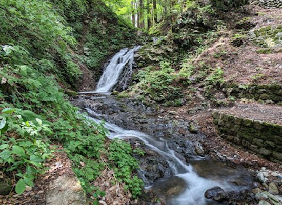 japan/nikko/attraction/shiraito-falls