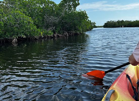 florida/key-largo/attraction/kayak-launch