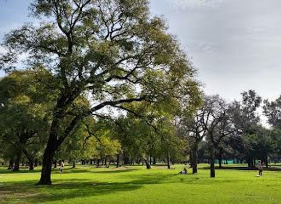 argentina/buenos-aires/attraction/palermo
