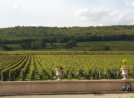 france/burgundy/attraction/chateau-marsannay
