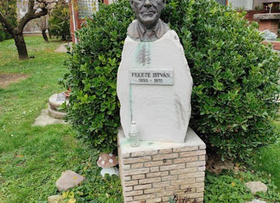 hungary/southern-transdanubia/attraction/fekete-istvan-muzeum