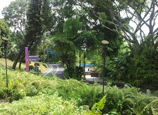 singapore/southern-ridges/attraction/images-of-singapore-live