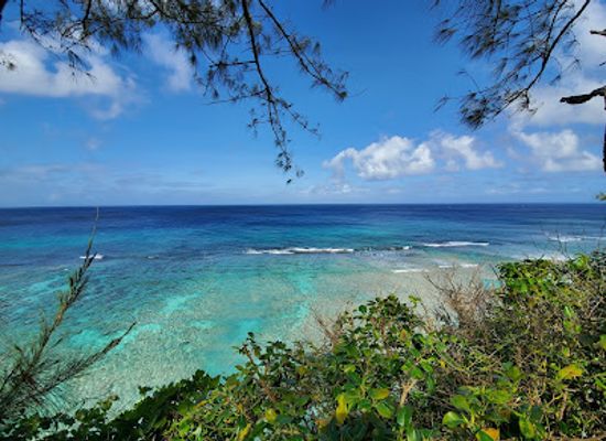 guam/northern-guam/attraction/guam-star-sand-jungle-adventure