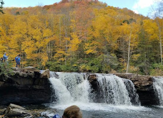 west-virginia/elkins/attraction/mountainrail