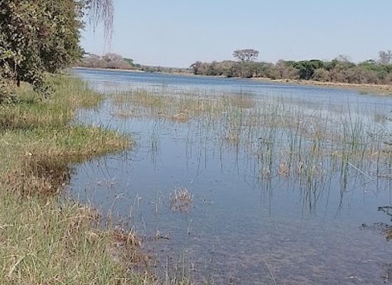 namibia/caprivi-strip/attraction/mudumu-game-reserve