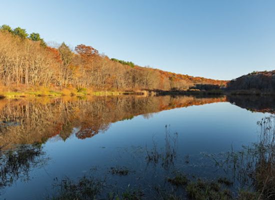 connecticut/mohawk-mountain-ski-area/attraction/sunnybrook-state-park