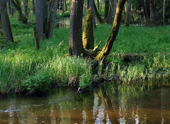 poland/mazury/attraction/marozka