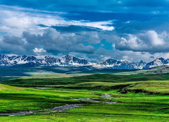 pakistan/northern-areas/attraction/village-kushnat-astore-valley-road