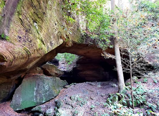 kentucky/red-river-gorge-geological-area/attraction/red-byrd-arch