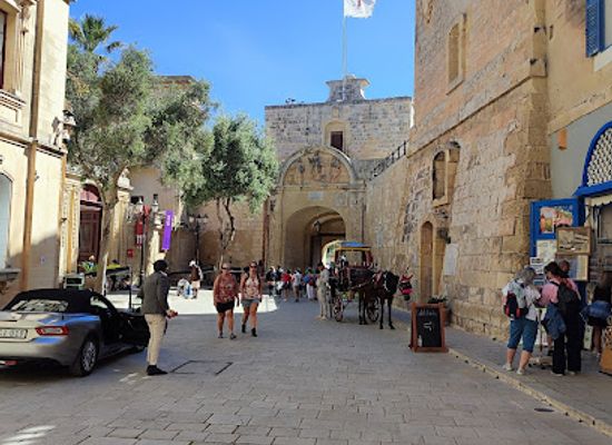 malta/fawwara-area/attraction/horse-and-carriage