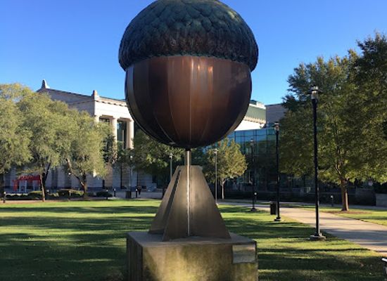 north-carolina/raleigh/attraction/moore-square