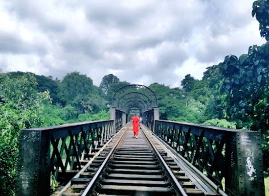 sri-lanka/kandy-district/attraction/peradeniya-bridge