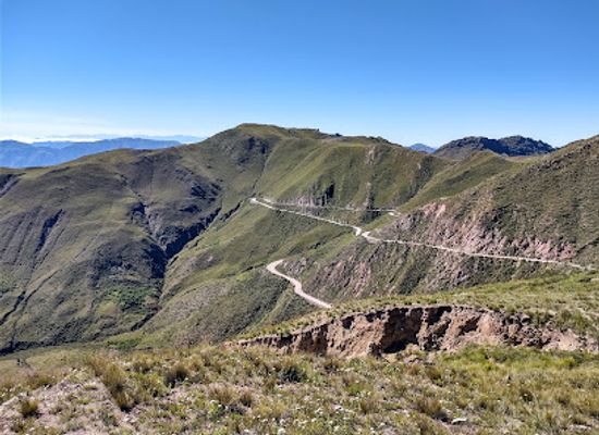 argentina/andean-northwest/attraction/parque-nacional-los-cardones