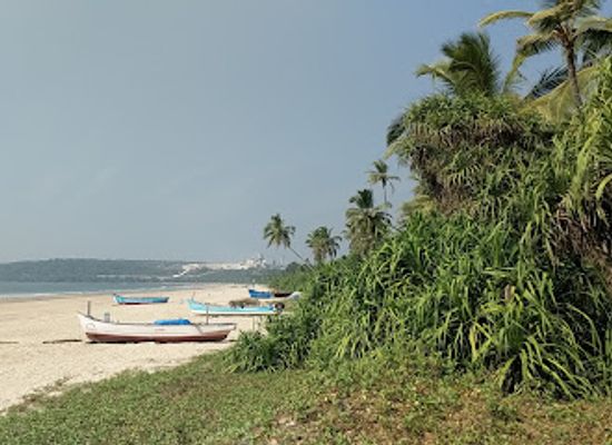 india/goa-beaches/attraction/velsao-beach