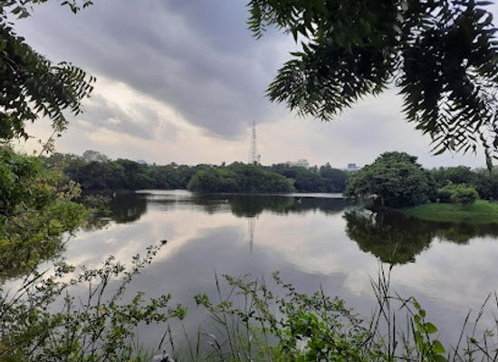 india/chennai/adyar/attraction/adyar-eco-park
