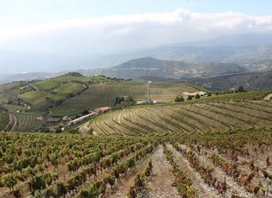 portugal/douro/attraction/quinta-seara-d-ordens