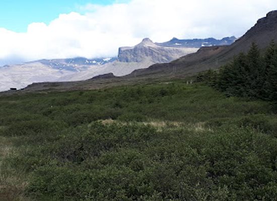 iceland/snæfellsnes-peninsula/attraction/hofsstadaskogur
