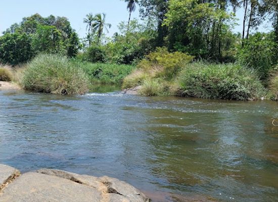 india/goa/attraction/amona-riverside-picnic-spot