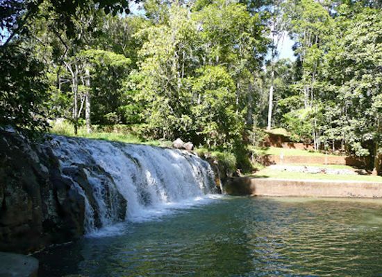 australia/atherton-tablelands/attraction/curtain-fig-national-park