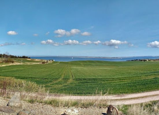 denmark/limfjord/attraction/fossil-og-molermuseet