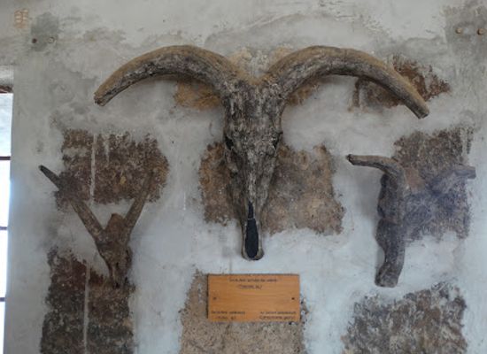 kenya/northern-frontier-district/attraction/koobi-fora-museum