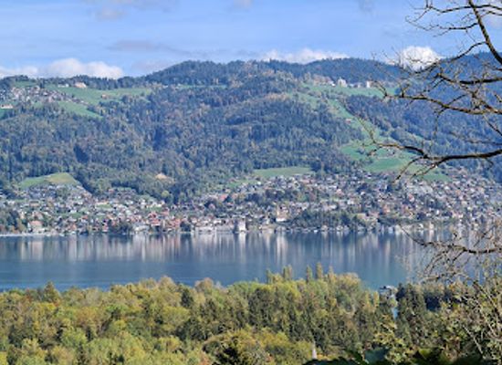 switzerland/thun/attraction/strattligburg