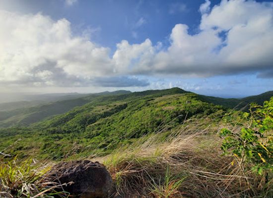 antigua-and-barbuda/barbuda/attraction/mount-mcnish