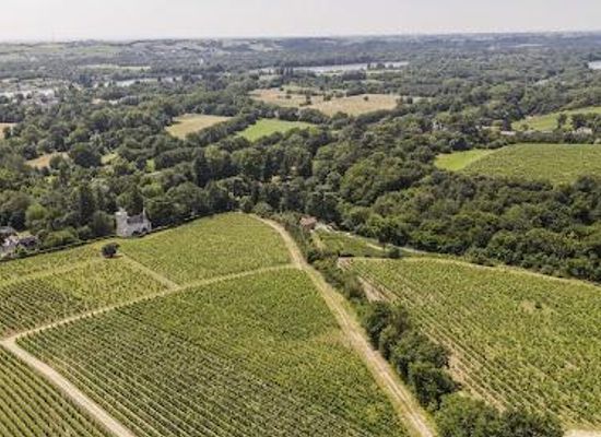 france/pays-de-la-loire/attraction/domaine-fl