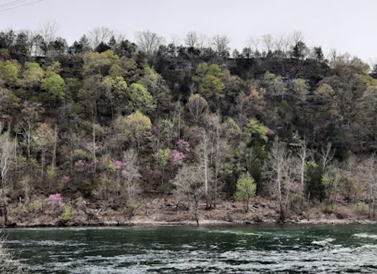 missouri/table-rock-lake/attraction/spillway-view-point
