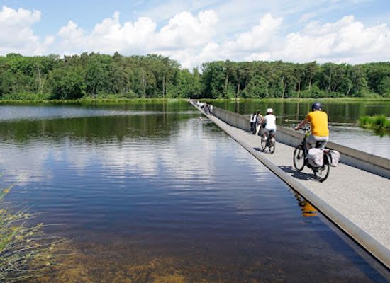 belgium/hoge-kempen-national-park/attraction/cycling-through-water-bokrijk