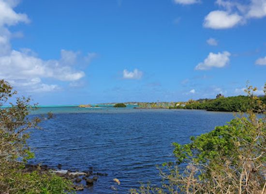 mauritius/riviere-du-rempart/attraction/pointe-des-lascars-hindu-spiritual-park
