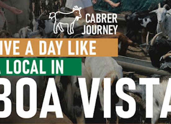 cabo-verde/praia-de-chaves/attraction/cabrer-s-journey-live-a-day-like-a-local-in-boa-vista