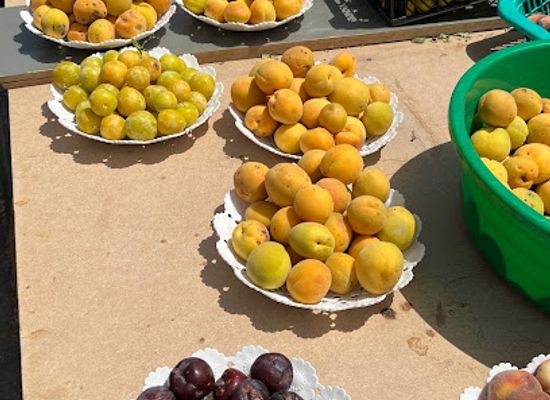 oman/al-batinah-south-governorate/attraction/jabal-al-khdar