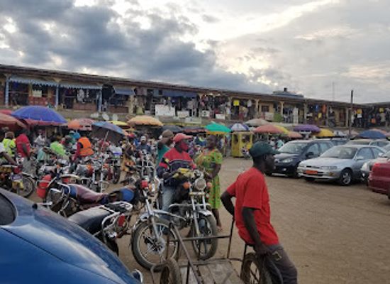 cameroon/south-west-region/attraction/main-park