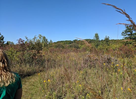 indiana/northeast-indiana/attraction/fogwell-forest-acres-land-trust