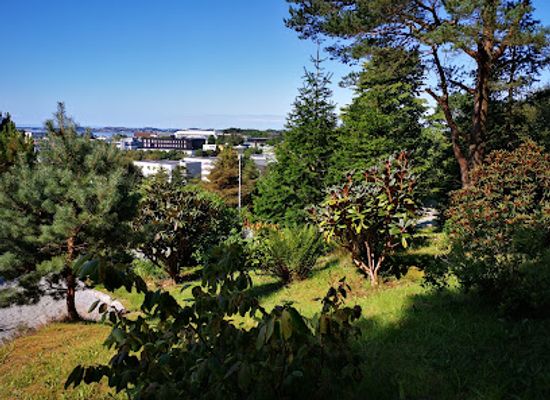 norway/rogaland/attraction/stavanger-botanical-garden