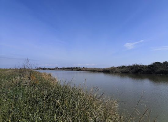 italy/sicily/attraction/riserva-naturale-oasi-del-simeto