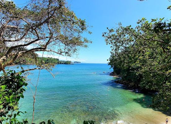 costa-rica/manuel-antonio-national-park/attraction/playa-playitas-manuel-antonio-playitas-beach