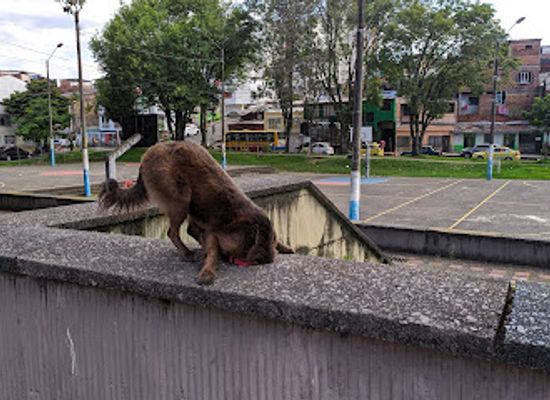 colombia/pereira/attraction/buenos-aires-park