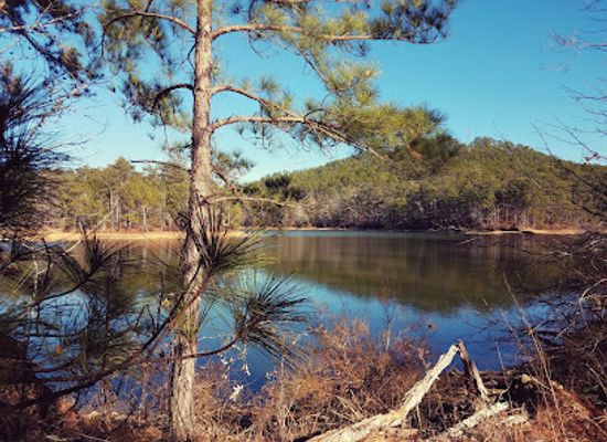 alabama/lake-martin/attraction/smith-mountain-alpine-trail